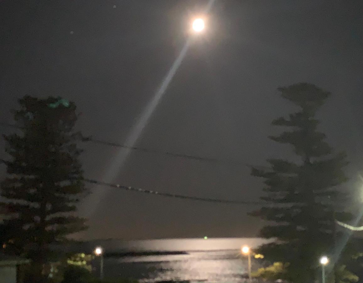 Pelicans Rest Shellharbour Bagian luar foto